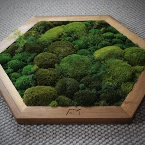 Alternative view of Moosbild
